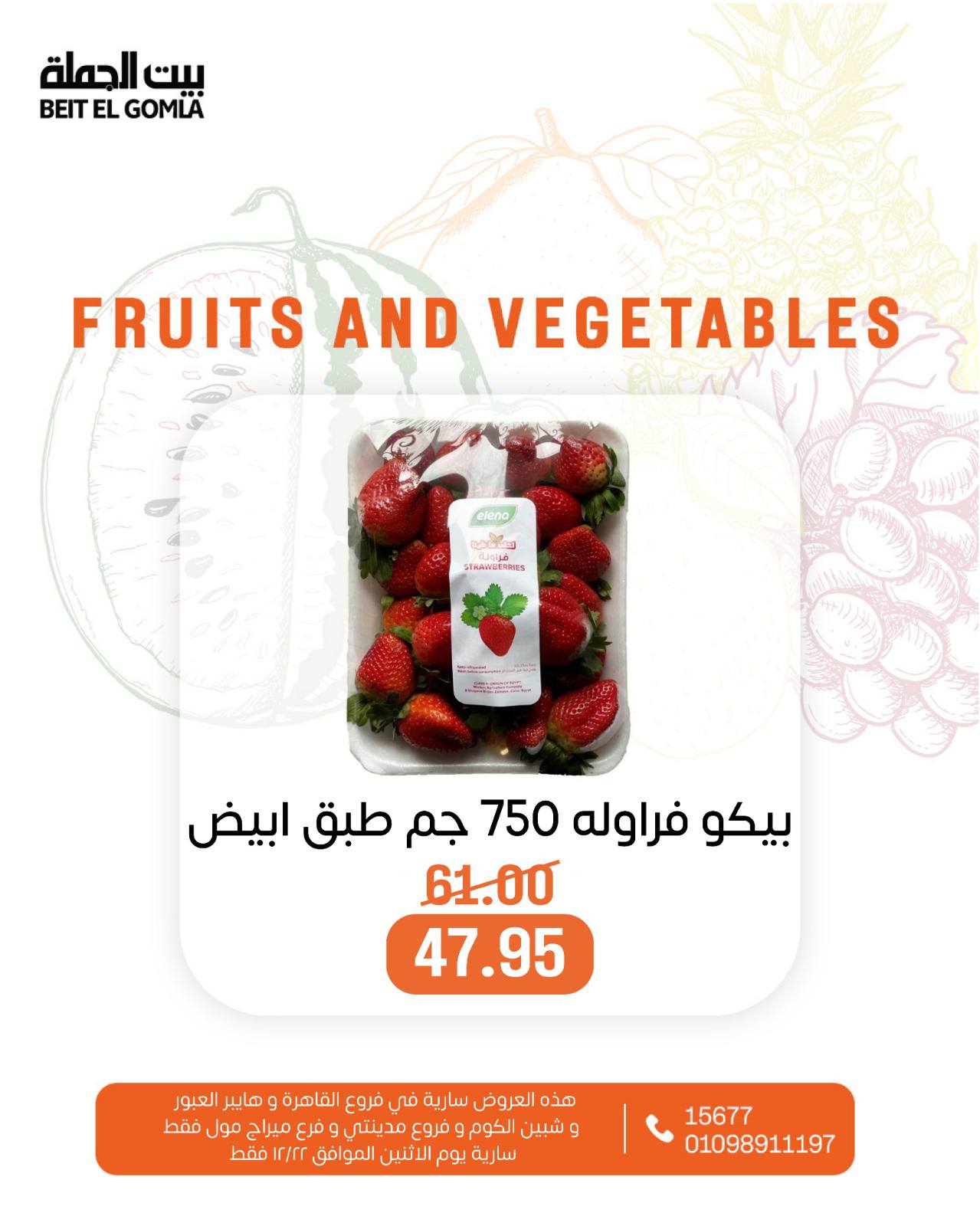 beit-elgomla offers from 22dec to 22dec 2025 عروض بيت الجملة من 22 ديسمبر حتى 22 ديسمبر 2025 صفحة رقم 5